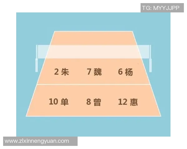 武汉排球队速度对比深度解析与战术影响探讨