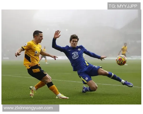 英超狼队足球明星的崛起与荣耀之路探秘