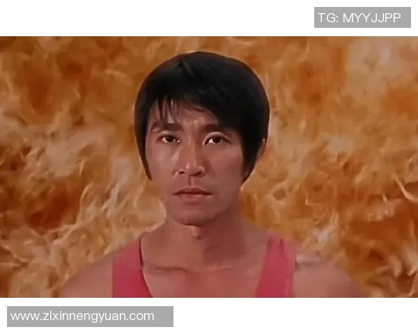 少林足球明星的精彩表现与影响力深度解析与评价