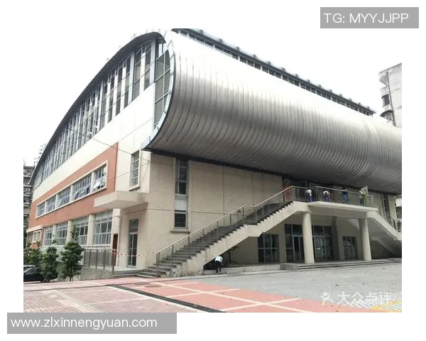 广州羽毛球队在洲际杯中的团队协作表现分析与点评